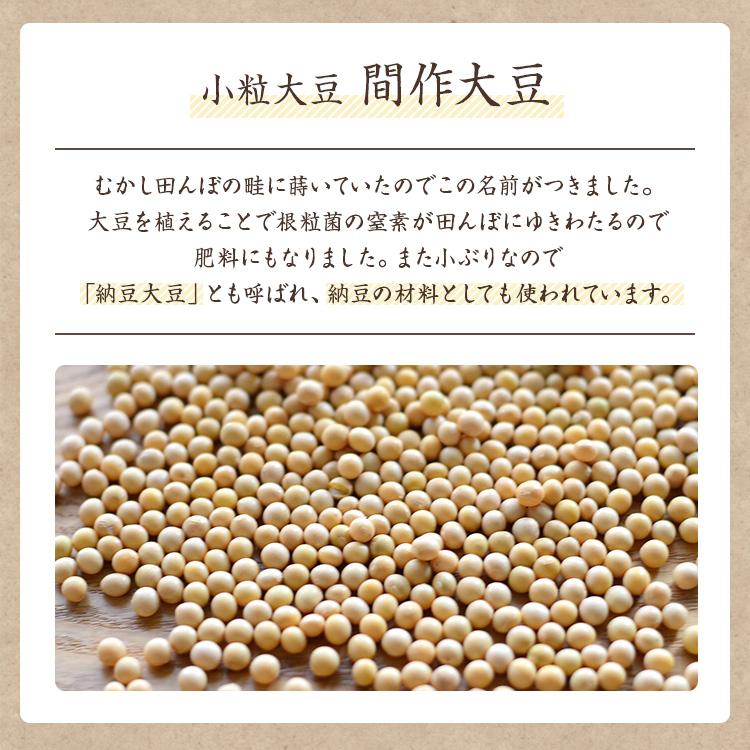 北海道産 間作大豆 小粒大豆 500g 令和4年産 農薬化学肥料不使用 納豆作りに 豆ごはん 豆腐 国産