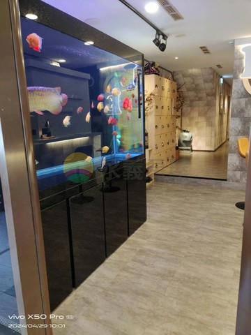 市府中山路大地坪 燙金透店｜桃園市桃園區中山路