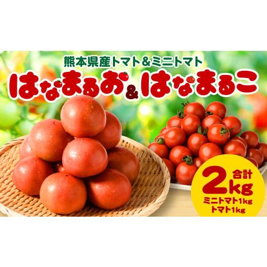 ふるさと納税 熊本県 八代市  熊本県産トマト 1kg ＆ ミニトマト 1kg 合計2kg はなまるお ＆ はなまるこ
