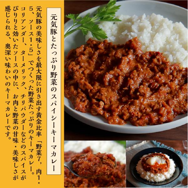 レトルト  常温保存　送料込み　「元気豚　お試しランチセット　元気豚カレー200ｇ×1　＋　キーマカレー150ｇ×1　＋　ボロネーゼ160ｇ×1」