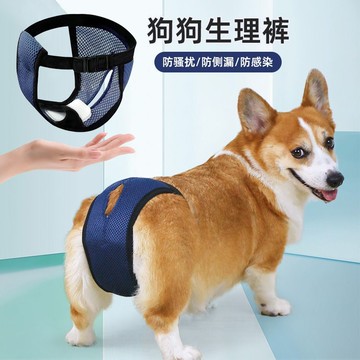 狗狗生理褲經期姨媽安全褲母狗專用泰迪柯基防交配防騷擾神器182YJ 公司貨