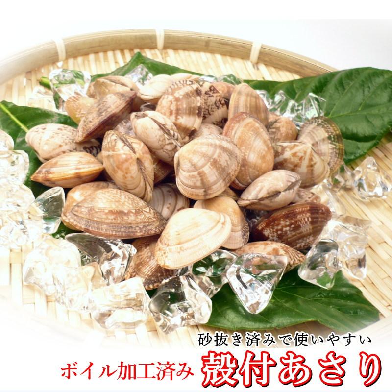 あさり　殻付きアサリ 500ｇ　 ボイル加工済み　殻付あさり　・殻付あさり・