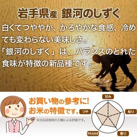 新米 岩手県産 銀河のしずく 白米 2kg 令和5年産