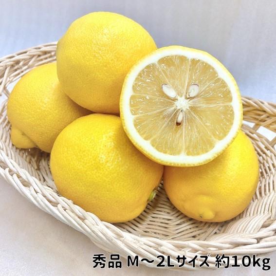 国産レモン 秀品 愛媛・広島県産 M~2L 約10kg