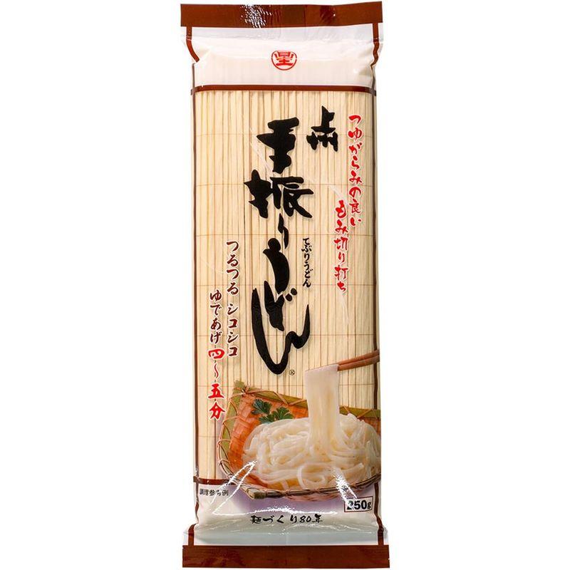 星野物産 手振りうどん 250g×10個