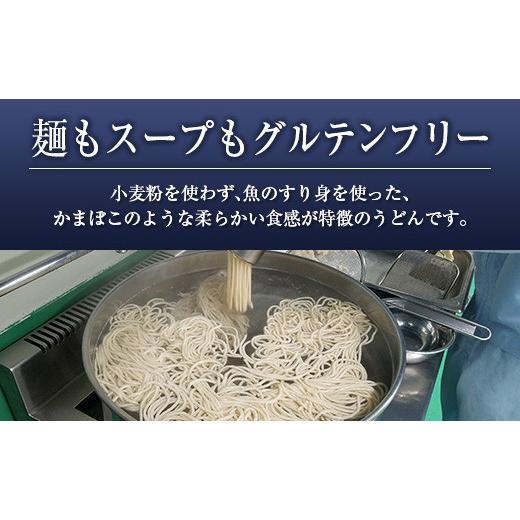 ふるさと納税 宮崎県 ◆宮崎魚うどんセット　(合計1.2kg)