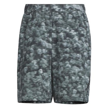 Adidas 短褲 男裝 印花 寬鬆 拉鍊口袋 灰【運動世界】IS9517