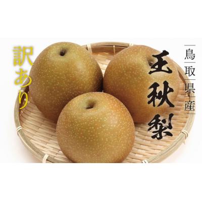 ふるさと納税 八頭町 王秋梨　4kg