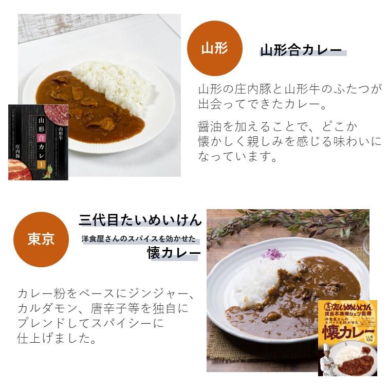 レトルトカレー バラエティー 10食 詰め合わせ 中辛 人気 ご当地 グルメ 日本 お取り寄せ 食べ比べ ギフトセット 旅行 常温保存 2023 食べ物