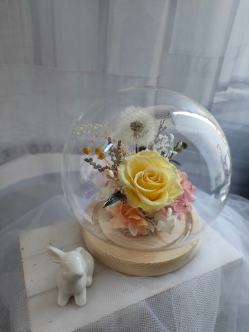 永生不凋花-蒲公英玻璃花盅 鐘罩 畢業 老師禮物