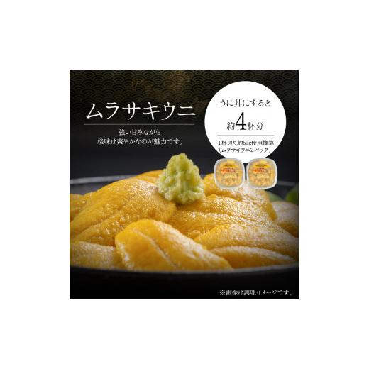 ふるさと納税 北海道 余市町 塩水ウニ 100g×2パック 計200g 2024年夏発送 北海道余市町産