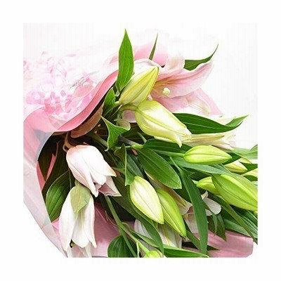 エルフルール ボリューム満点 オリエンタルユリの花束 5本 輪以上 カラー ピンク フラワーギフト 生花 誕生日 還暦 退職 結婚 プ 通販 Lineポイント最大get Lineショッピング