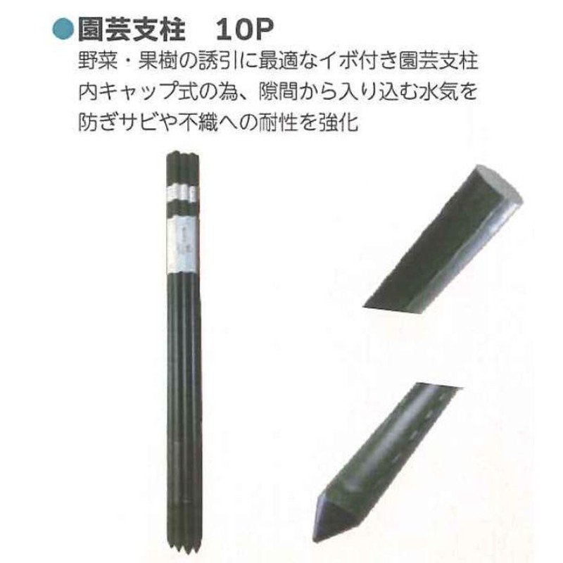 シンセイ 園芸支柱 イボ付 内キャップ式 11φ×1200mm×100本セット ...