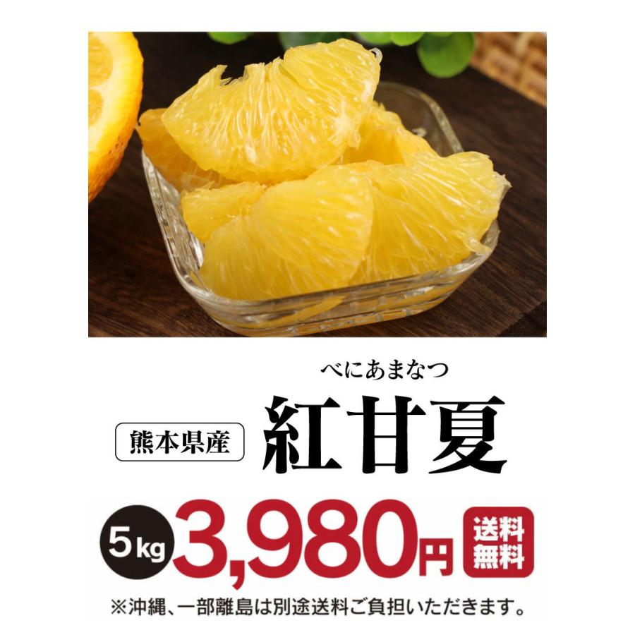 【農園直送】 農薬不使用　ノーワックス　めちゃ旨　ジューシー　甘酸っぱい　甘夏タイムセールの値段は