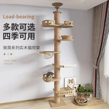 頂天立地貓爬架通天柱實木小戶型太空艙貓咪攀爬架一體多功能