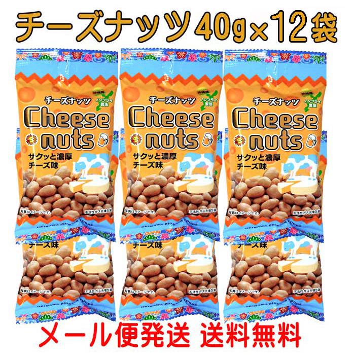 おつまみナッツ チーズナッツ 40g×12袋 ノンフライ製法 送料無料