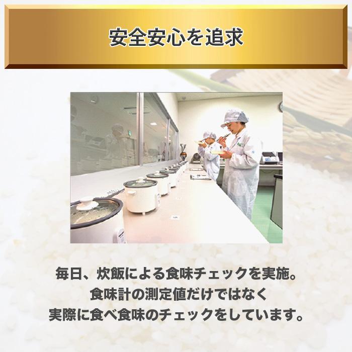 ひとめぼれ 10kg 5kg×2 令和5年産 宮城県産 米 お米 白米 おこめ 精米 単一原料米 ブランド米 10キロ 送料無料 国内産 国産