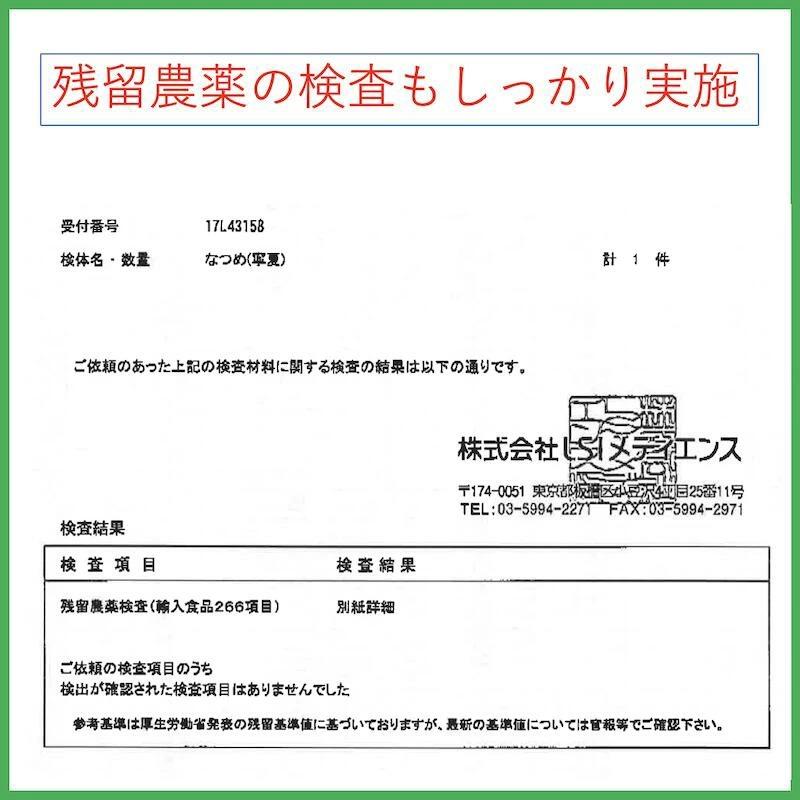 黒龍棗 2袋セット 運龍堂 仙台の漢方専門薬局 ドライ 乾燥 漢方 ドライフルーツ 健康食品 砂糖不使用 乾燥ナツメ 乾燥なつめ 乾燥果実