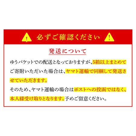 ふるさと納税 手延べ 自然薯そば 500g（250g×2)   蕎麦 そば 自然薯   南島原市   川上製麺 [SCM021] 長崎県南島原市