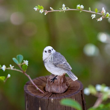 ZOOCRAFT擬真動物系列白鶺鴒鳥造型迴紋針吸鐵/桌上擺飾/文具收納