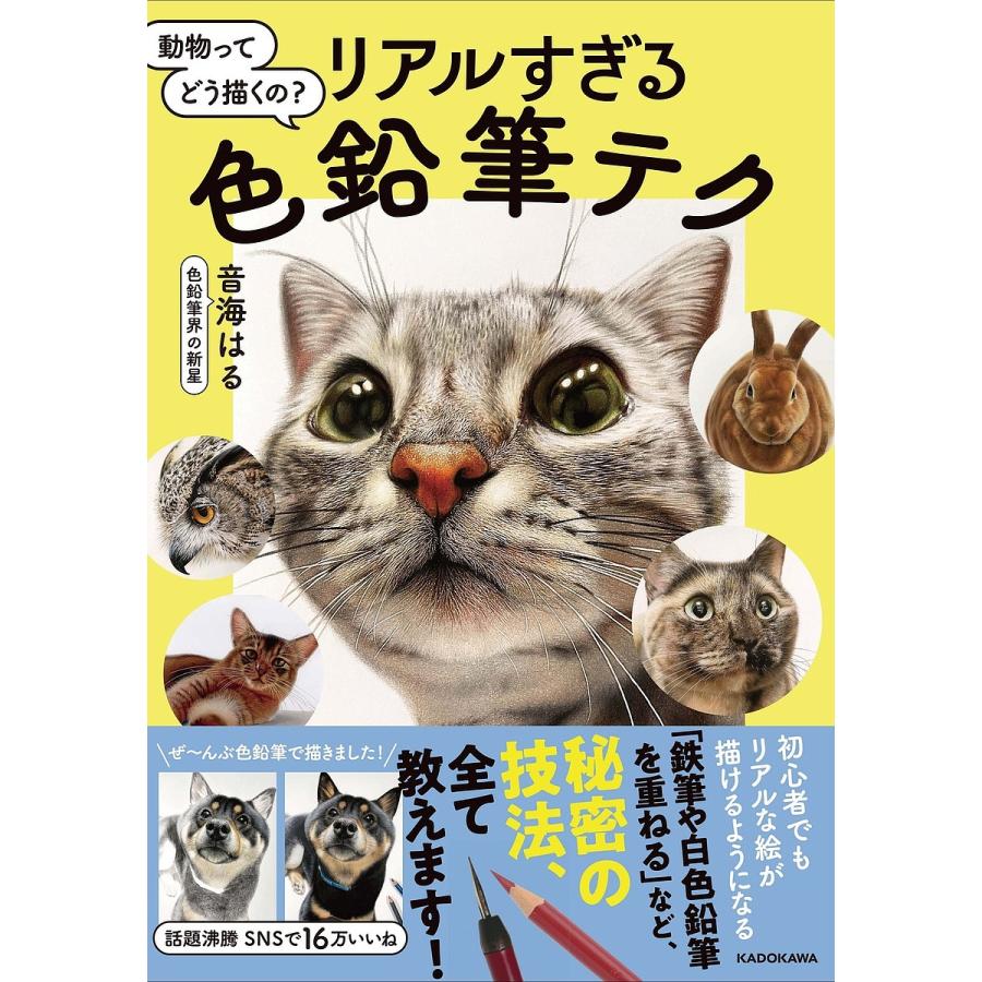 動物ってどう描くの リアルすぎる色鉛筆テク