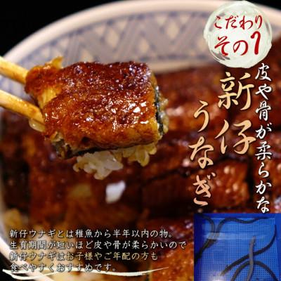 ふるさと納税 西尾市 一色産炭焼き蒲焼まぶし2人前セット×3袋　・I021-16