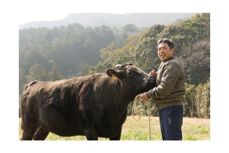 いにしえの牛肉　ロースしゃぶしゃぶ（CAS凍結）約500g ／特産　ブランド牛　希少　三重県