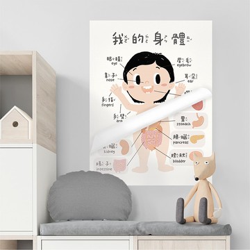 認識身體二合一掛布