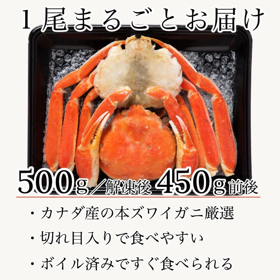 カナダ産 ボイル ズワイガニ 姿 1尾(500g) 解凍後450g前後 切れ目あり 冷凍  カナダ カット済 歳暮 プレゼント グルメ 海鮮