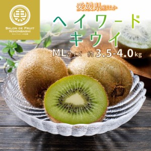 [予約 11月10日-12月31日の納品]   ヘイワードキウイ 約3.5-4.0kg MLサイズ 愛媛県産 他 果物専用箱