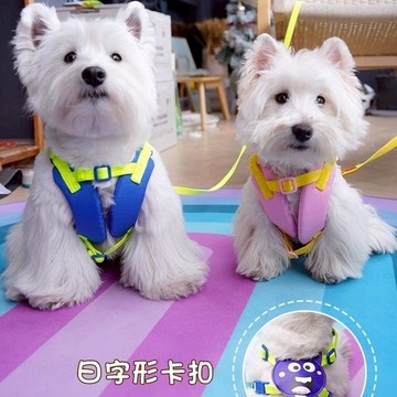 ⭐狗狗牽引繩 貓咪牽繩 寵物背帶 貓咪胸背帶 可調節 狗狗外出牽繩 防掙脫 遛狗繩 背心式胸背 寵物外出神器 小狗胸背帶