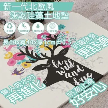 【樂邦】60X40CM 大款珪藻土地墊- 硅藻土 地墊 腳墊 腳踏墊 防滑墊 吸水除濕 防潮 強效吸水 浴室地墊