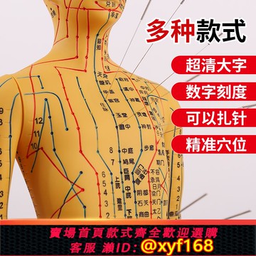 {可打統編 保固一年}人體針灸模型經絡穴位中醫全身十二銅人模特圖軟膠扎針練習小皮人