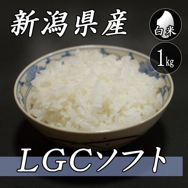 お米 1kg 新潟産 LGCソフト 1kg×1袋 令和5年産 米 白米