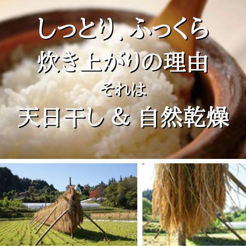 令和５年 新米 コシヒカリ 自然栽培米 送料無料 玄米 10kg 阿武隈高原 遊雲の里ファーム 菅野正寿 予約 産地直送 11月〜 送料無料 2023年 棚田米