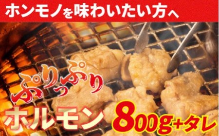 大人気焼肉屋さんのご家庭で簡単！モツ焼き肉セット800g／Amu-02