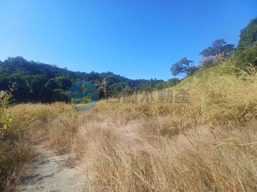 大樹義大超便宜寧靜美農地.｜高雄市大樹區三和段