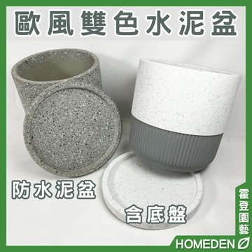 【隔日到貨】歐風雙色水泥盆 水泥盆 陶瓷盆 陶盆 花盆花器 多肉盆 觀葉植物花盆 居家盆栽【HOMEDEN霍登園藝】