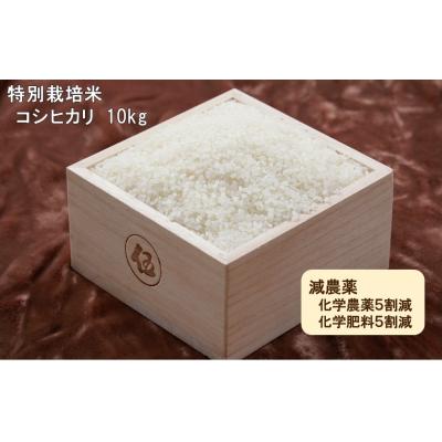 ふるさと納税 西予市 令和5年産:西予市宇和町産特別栽培米コシヒカリ10kg