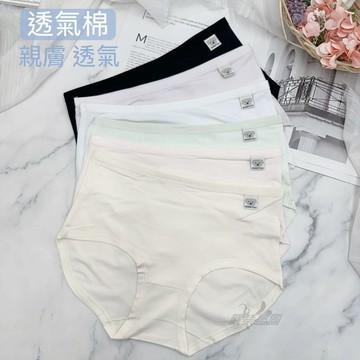 庭兒柑仔店🍊嬰兒棉 M-L 低腰雙層褲底 親膚 透氣 吸濕 三角褲 女生內褲 學生內褲 3660