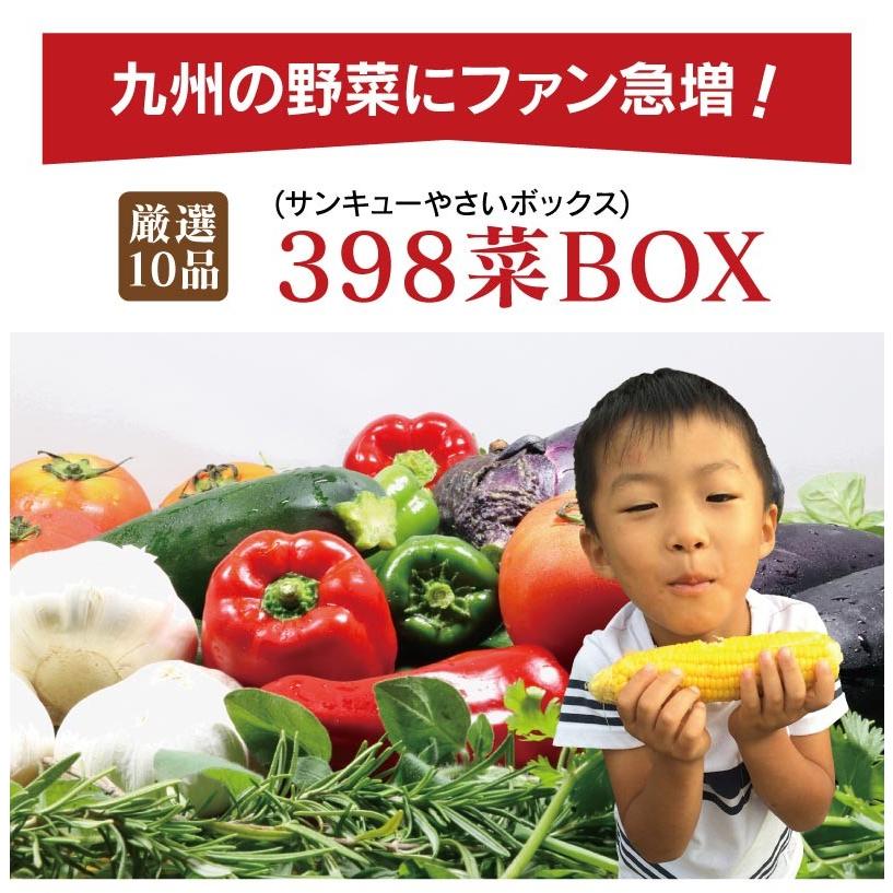 398菜BOX（サンキューやさいボックス）野菜 10品 詰め合わせ 夏野菜 冬野菜 冷蔵便 おおしま屋出荷 送料無料 ギフト 大嶌屋（おおしまや）