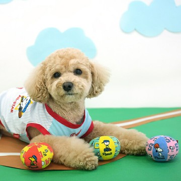 【PEANUTS】史努比字母鈴鐺玩具球 (寵物玩具)