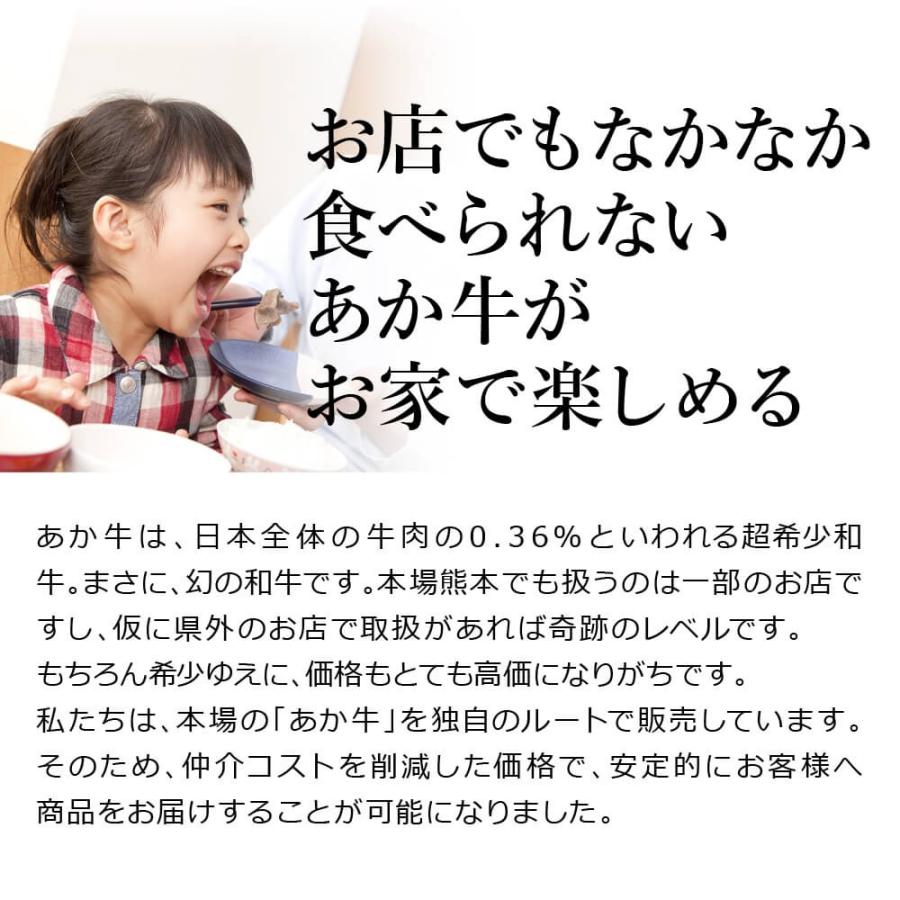 馬刺し ギフト あか牛 赤牛 熊本 国産 和牛 焼肉 1人前 100g モモ 贈り物 ギフト 食べ物 あかうし 熊本馬刺し専門店 お中元 2023