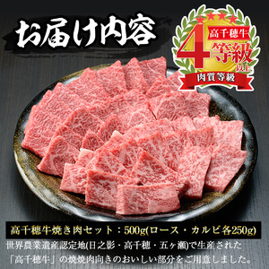 高千穂牛 焼き肉セット(ロース・カルビ各250g)