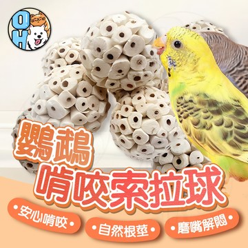 【歐豆K】鸚鵡啃咬索拉球 鸚鵡耐咬玩具 鸚鵡磨牙玩具  鸚鵡解悶玩具 磨琢磨嘴紓壓解悶 純天然索拉球  鸚鵡玩具