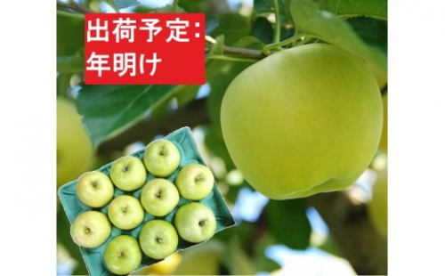 年明け 贈答規格 王林 約3kg（特A）