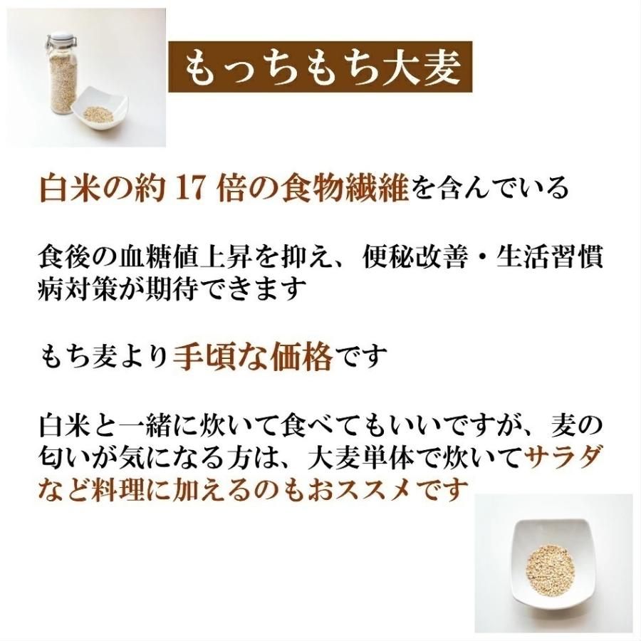 国内産 もっちもち大麦 20kg (5kg×4袋) α化処理 雑穀米 食品 美容 ダイエット 国産 送料無料※北海道・沖縄の方は別途送料加算