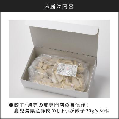 ふるさと納税 鹿児島市 餃子・焼売の皮専門店の自信作!鹿児島県産豚肉のしょうが餃子