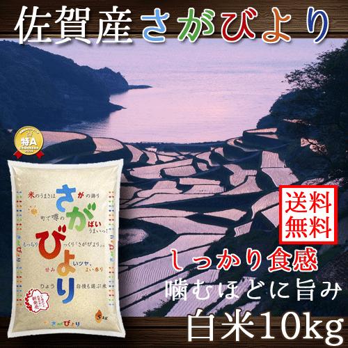 佐賀県産 さがびより 白米 10kg 送料無料 （一部地域除く）