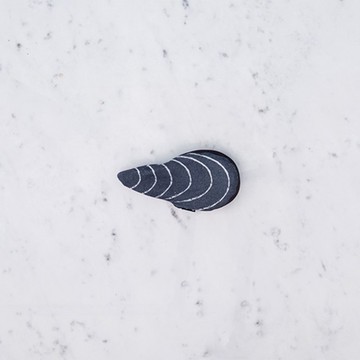 Don Fisher 大西洋淡菜零錢包